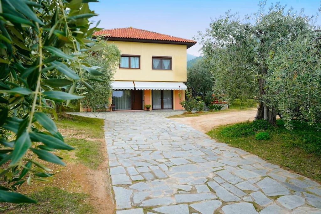 Skala Rachoni  Olive'S House 빌라 외부 사진