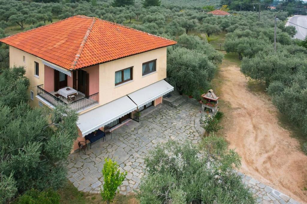 Skala Rachoni  Olive'S House 빌라 외부 사진